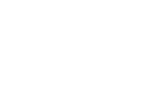 A.L.-INOX.png