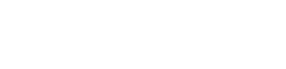 SARIV-S.R.L..png